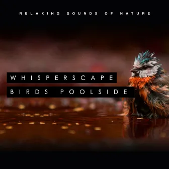 Whisperscape Birds Poolside by Relaxing Sounds of Nature