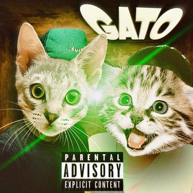 Gato