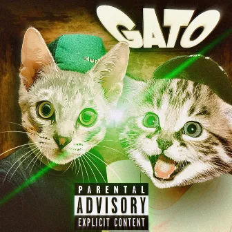 Gato by Sr Negão