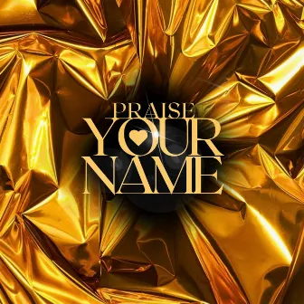 PRAISE YOUR NAME by Festizie