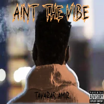 Aint The Vibe by Tavaras Amir