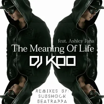 The Meaning Of Life by Ashley Jana