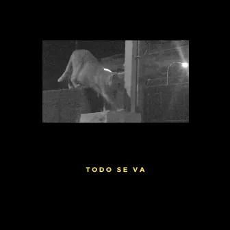 Todo se va by Xavibo