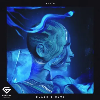 Black & Blue by VIVID