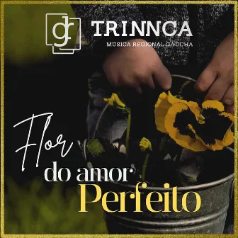 Flor do Amor Perfeito by Trinnca