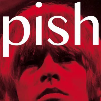 Mini Album Thingy Wingy by The Brian Jonestown Massacre