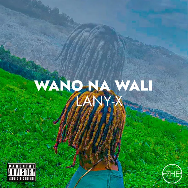 Wano Na Wali