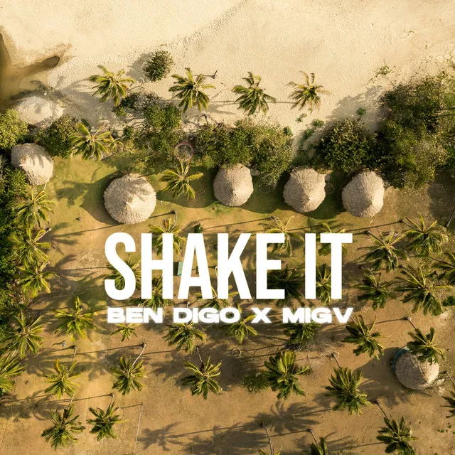 Shake It