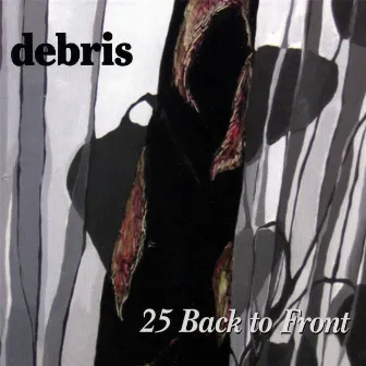 25 Back to Front by Debris