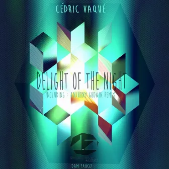 Delight of the Night by Cedric Vaque