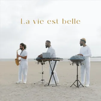 La vie est belle by Rash Ahava