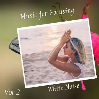 White Noise: Music for Focusing Vol. 2 by Baby Bedtime Lullaby