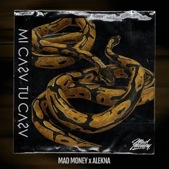 Mi Casa Tu Casa by Mad Money