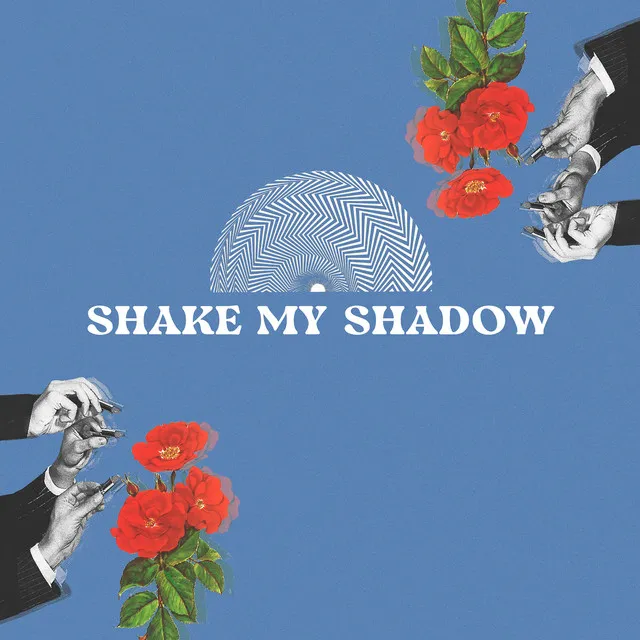 Shake My Shadow