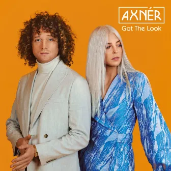 Got The Look (+ Al Kent Mixes) by Al Kent