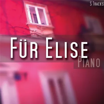 Für Elise by Falk Richter