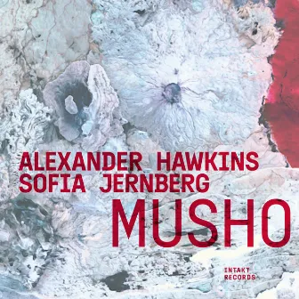 Musho by Sofia Jernberg