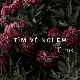 Tìm Về Nơi Em by Ccmk