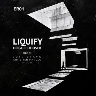 Liquify by Doggie Houser