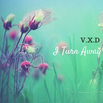 I Turn Away by V.X.D