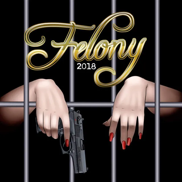 Felony 2018