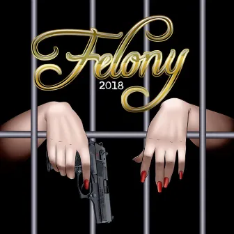 Felony 2018 by Rølpern & Høvlern