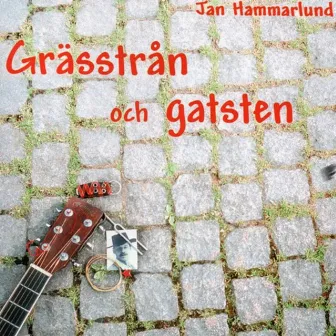 Grässtrån och gatsten by Jan Hammarlund