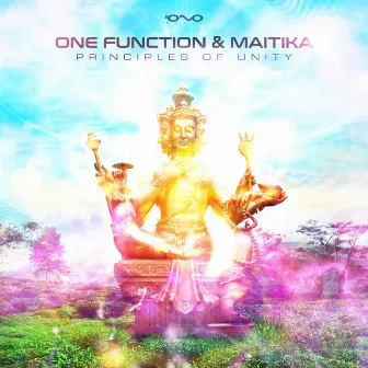 Principles of Unity by One Function