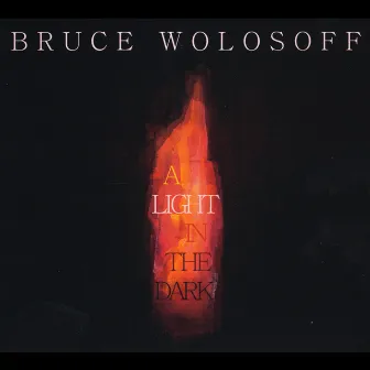 A Light in the Dark by Bruce Wolosoff