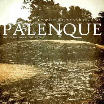 Palenque by Victor Mora