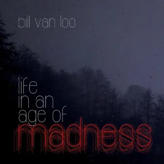 Life in an Age of Madness by Bill Van Loo