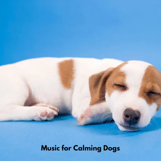 Soothing Dog