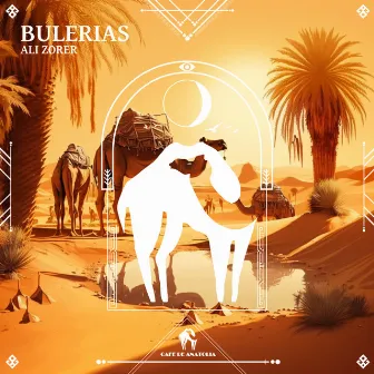 Bulerias by Ali Zorer