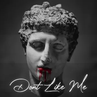 Don't Like Me by Shigg