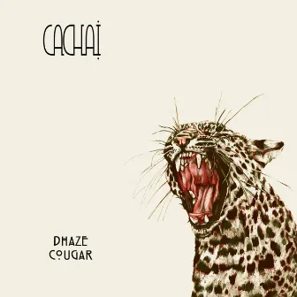 Cougar by Dhaze