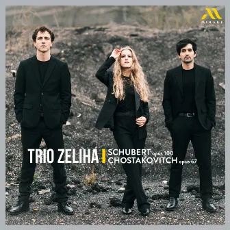 Schubert: Piano Trio in E-Flat Major, D. 929, Op. 100: II. Andante con moto by Trio Zeliha