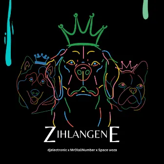 Zihlangene by Mr Dlali Number