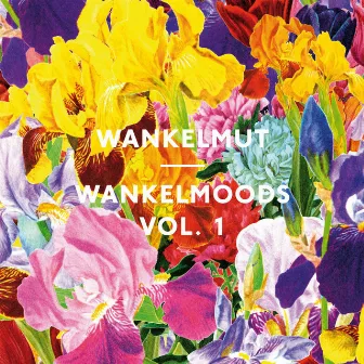 Wankelmoods Vol. 1 by Wankelmut