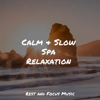 Calm & Slow Spa Relaxation by Namaste Yoga