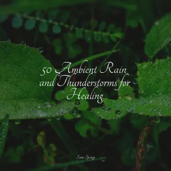 50 Ambient Rain and Thunderstorms for Healing by Musica Reiki