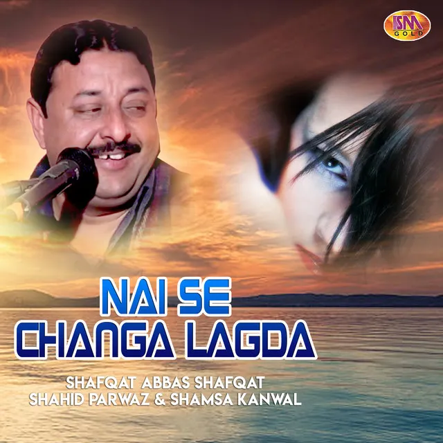 Nai Se Changa Lagda