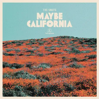 Maybe California by The Snuts