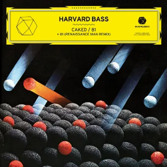 Caked / 81 - EP by Harvard Bass