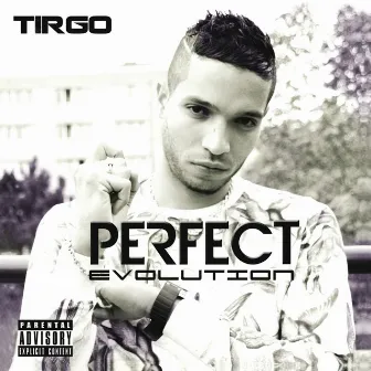 Perfect Evolution by Tirgo