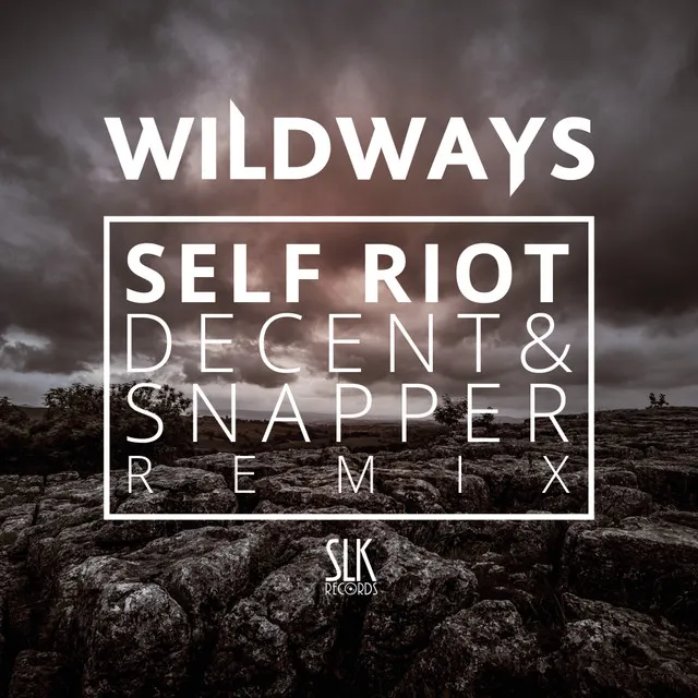 Self Riot - Decent & Snapper Remix