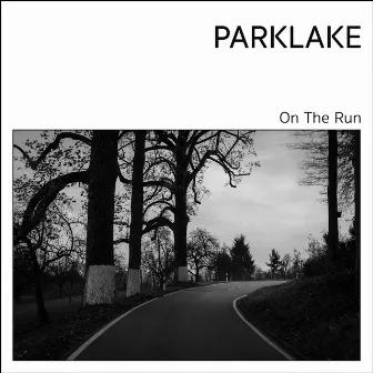 On the Run by Parklake