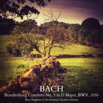 Bach: Brandenburg Concerto No. 5 in D Major, BWV. 1050 by Hamburg Chamber Orchestra