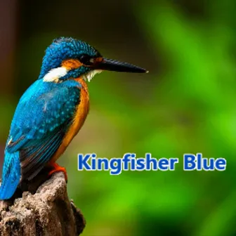 Kingfisher Blue by Unknown Artist