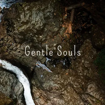 Lucid Feeling by Gentle Feelings