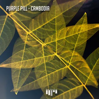 Cambodia by Purple Pill